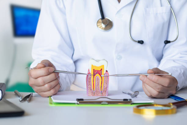 Best Emergency Dentist for Lost Fillings or Crowns in Glandorf, OH